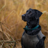 Olive/Black - Dog Vest