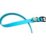 Chief Dog Collar - Sky