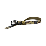 Mallard Sock + Dog Collar Bundle