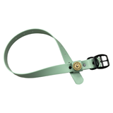 Chief Dog Collar - Light green