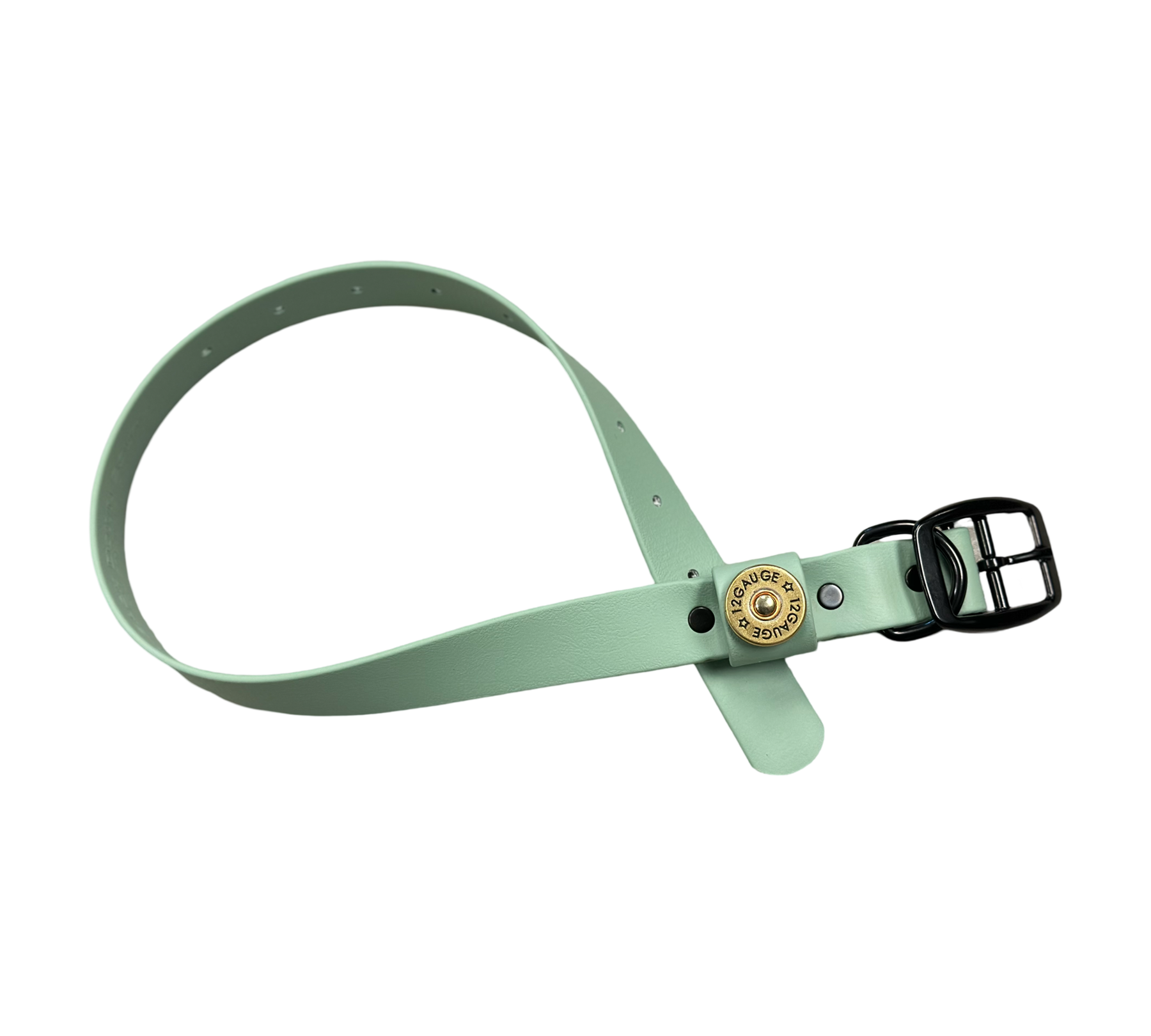 Light green fashion dog collar