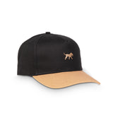 Structured 5 Panel Hat