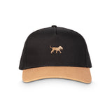 Structured 5 Panel Hat
