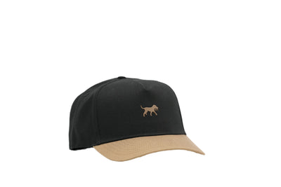 Structured 5 Panel Hat